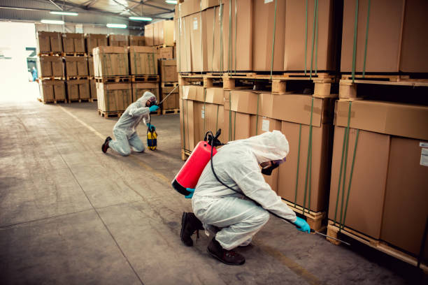 Best Best Pest Control Companies  in St Cloud, MN