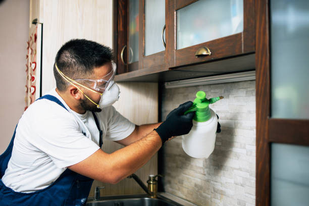 Best Pest Control Near Me in St Cloud, MN