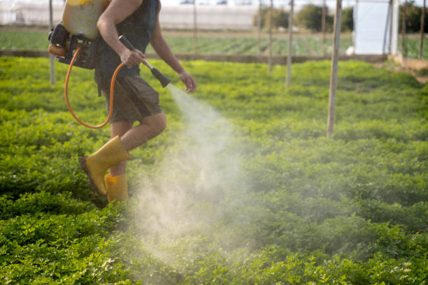 Best Best Pest Control Near Me  in St Cloud, MN