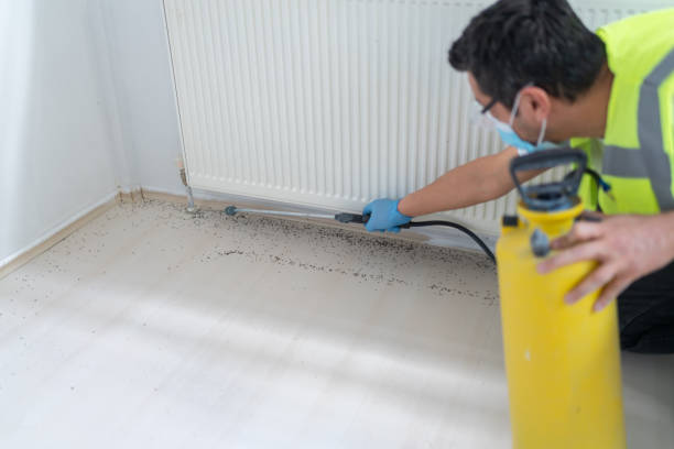Best Pest Control Treatment  in St Cloud, MN